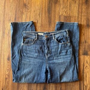 Pilcro/Anthropologie Relaxed Wide Leg Jeans size 28